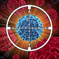 cll, stat3 inhibitors, stat3 inhibitor, chronic lymphocytic leukemia