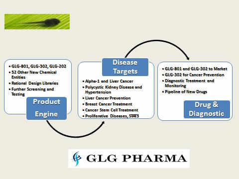 STAT3 inhibitor pipeline